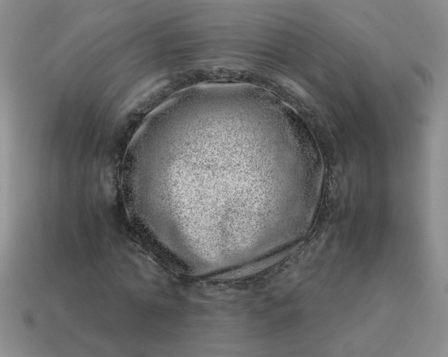 X0000114140774200910221524