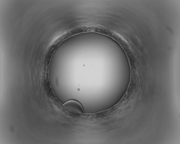 X0000114140775200910221524