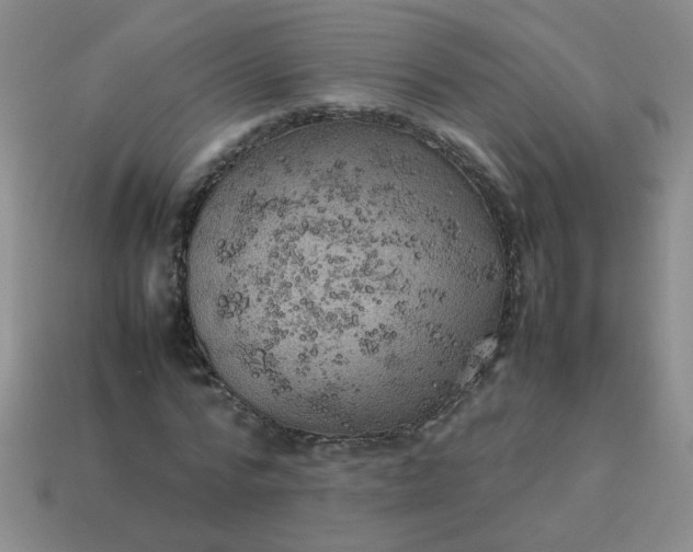 X0000114140776200910221524