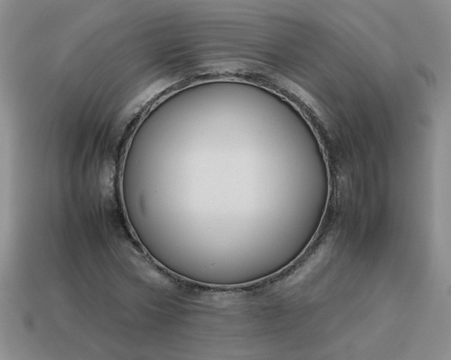 X0000114140778200910221524