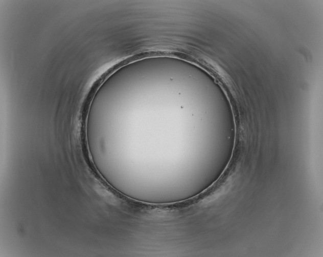 X0000114140779200910221524