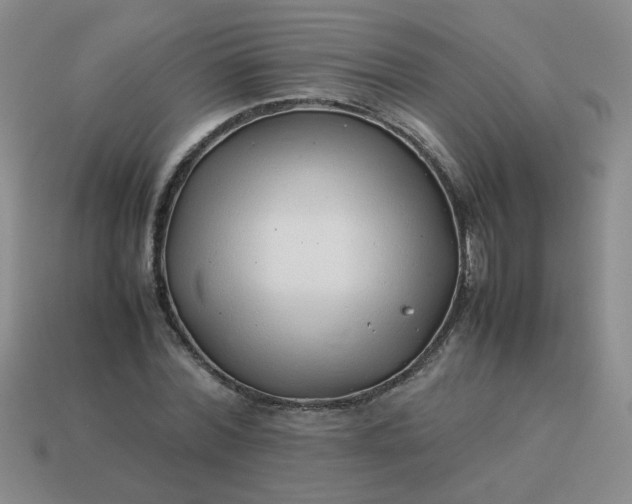 X0000114140780200910221524