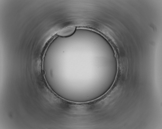 X0000114140781200910221524