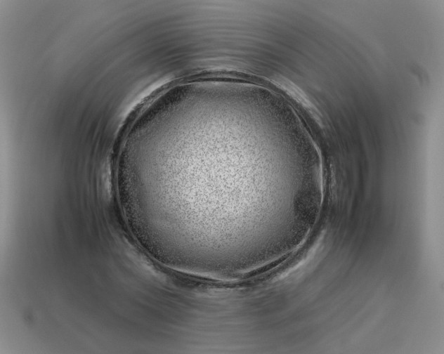 X0000114140782200910221524