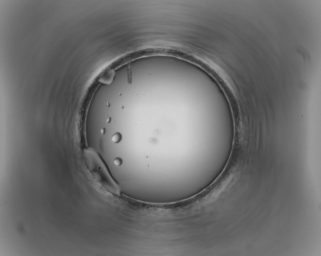 X0000114140783200910221524