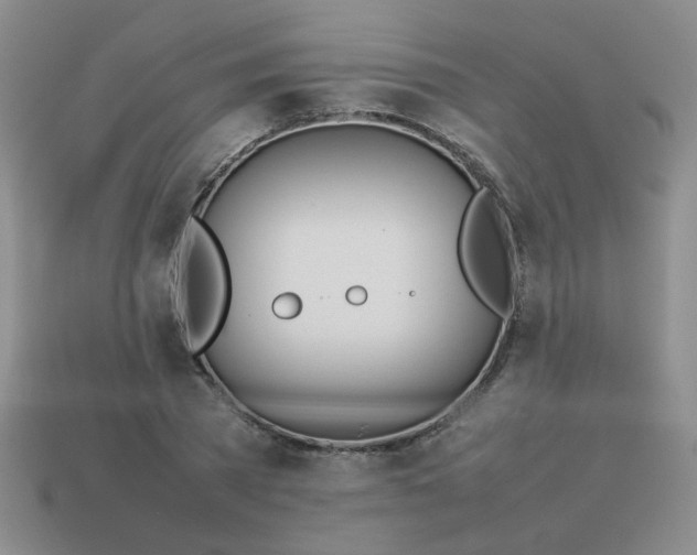 X0000114140785200910221524