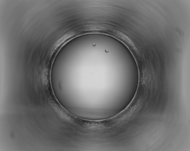 X0000114140786200910221524