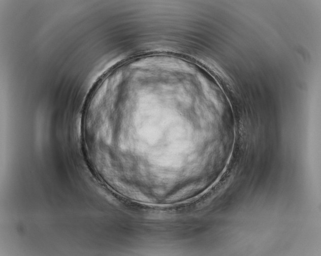 X0000114140790200910221524