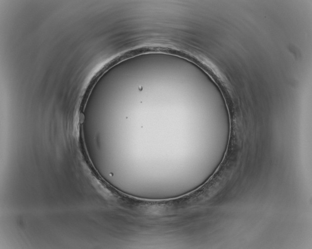 X0000114140791200910221524