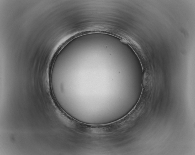 X0000114140792200910221524