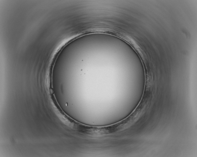 X0000114140795200910221524