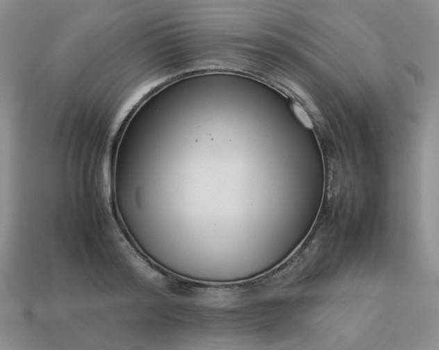 X0000114140796200910221524