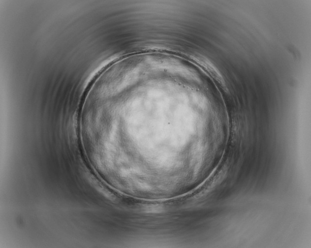 X0000114140798200910221524