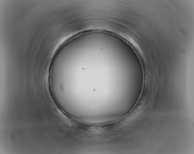 X0000114140799200910221524