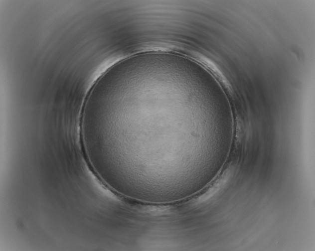 X0000114140802200910221524