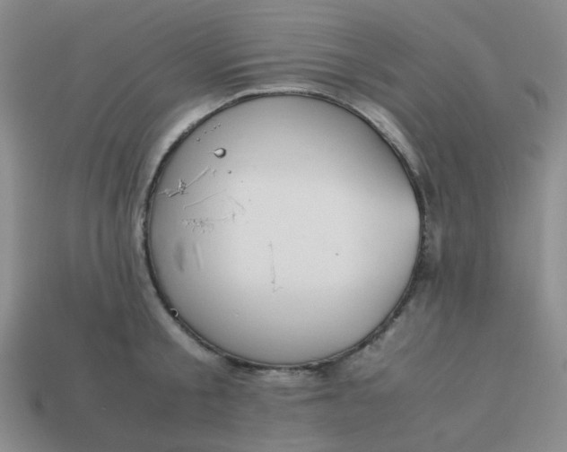 X0000114140805200910221524