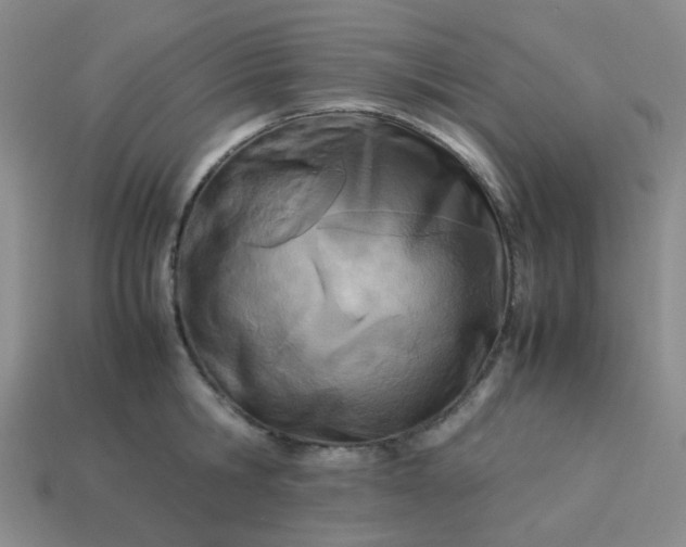 X0000114140806200910221524