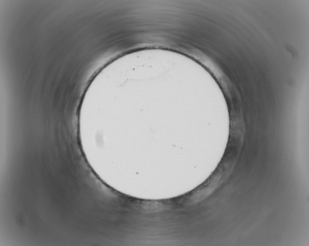 X0000114140807200910221524