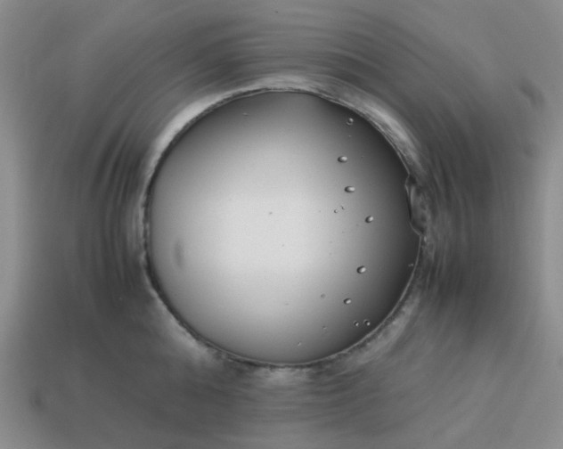 X0000114140808200910221524