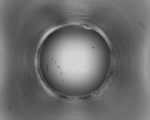 X0000114140811200910221524