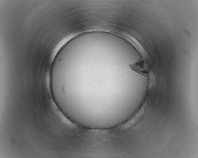 X0000114140812200910221524