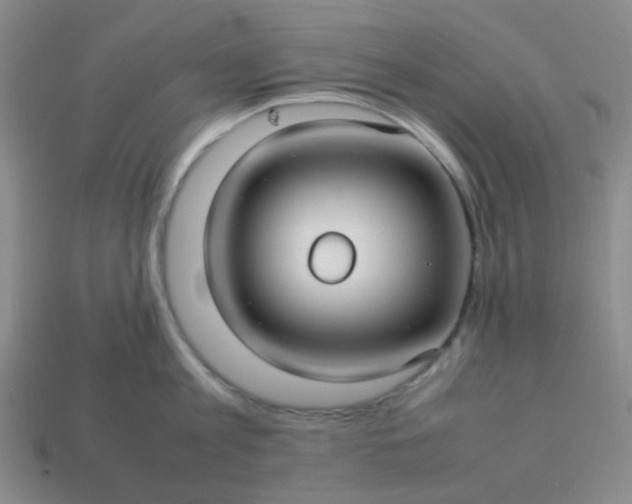 X0000114140813200910221524