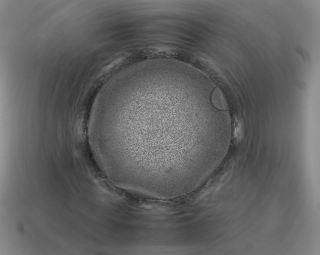 X0000114140819200910221523