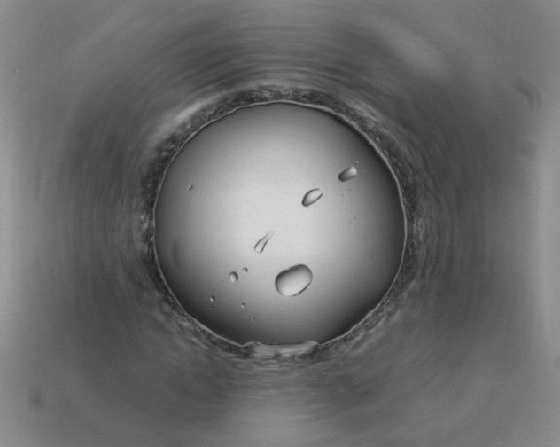 X0000114140822200910221523