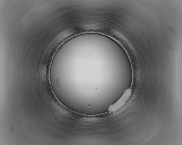 X0000114140825200910221523