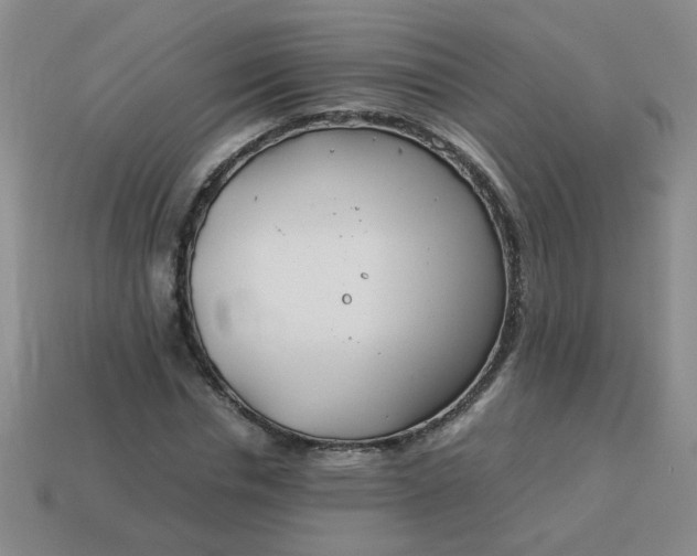 X0000114140826200910221523