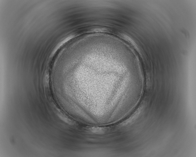 X0000114140827200910221523