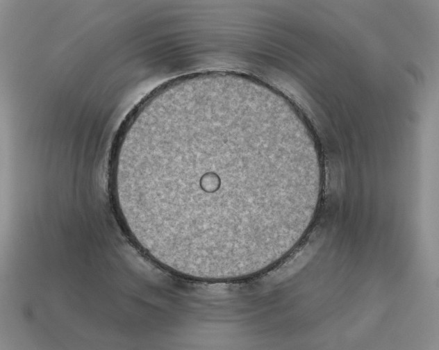 X0000114140828200910221523