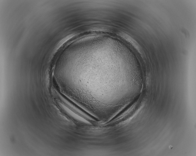 X0000114140829200910221523