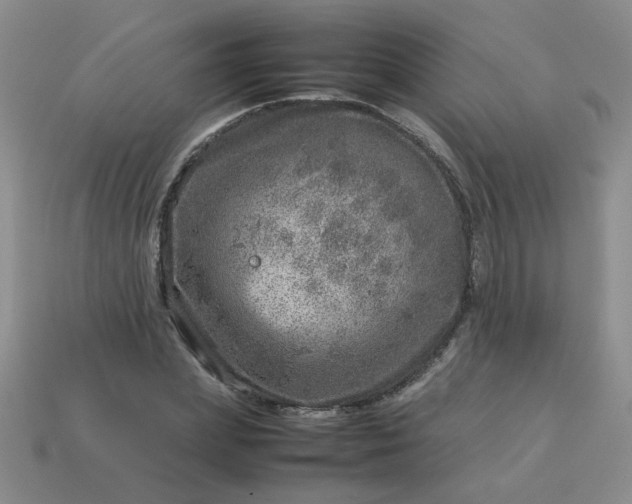 X0000114140831200910221523