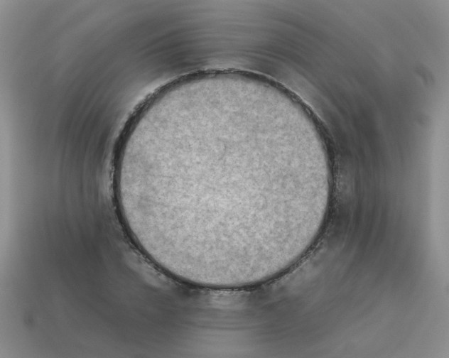 X0000114140832200910221523