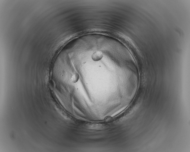 X0000114140833200910221523