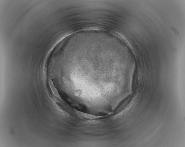 X0000114140835200910221523