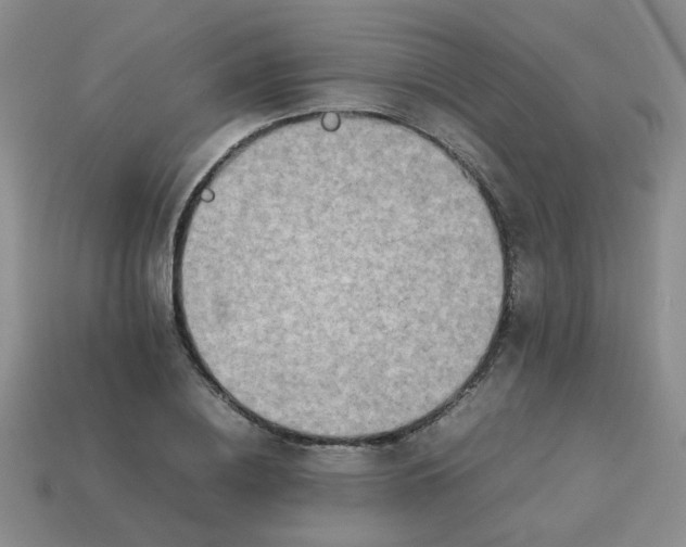 X0000114140836200910221523