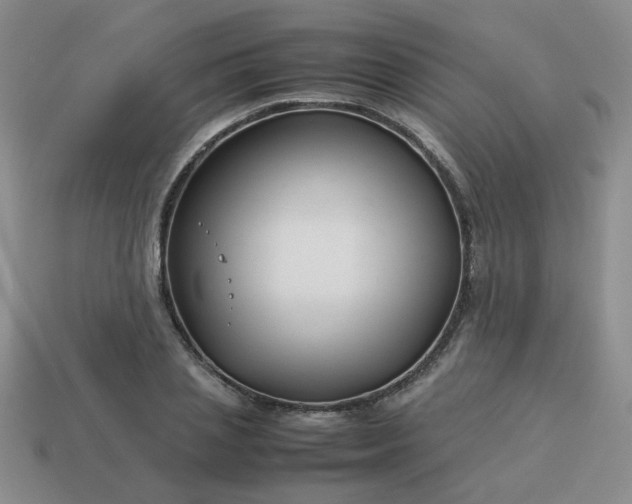 X0000114140837200910221523