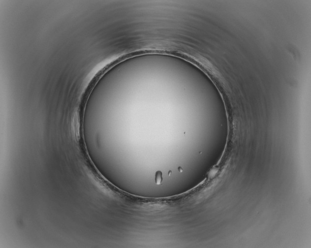 X0000114140838200910221523