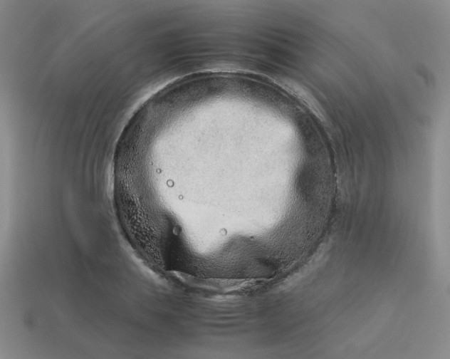 X0000114140839200910221523