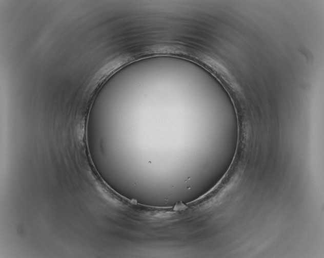 X0000114140841200910221523