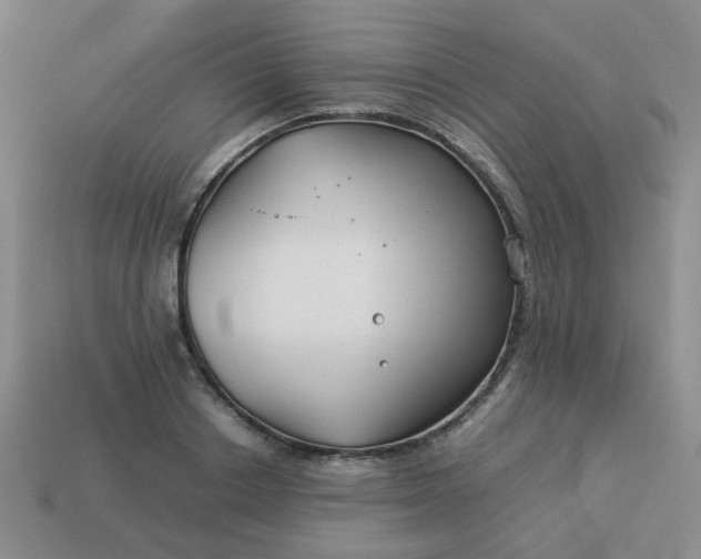 X0000114140842200910221523