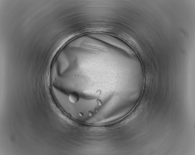 X0000114140844200910221523