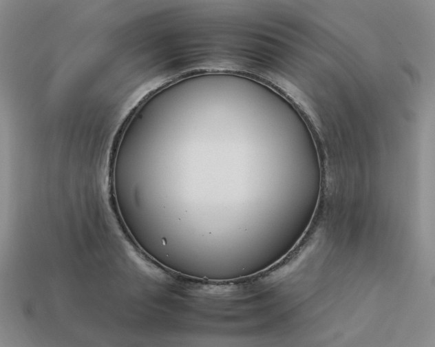 X0000114140845200910221523