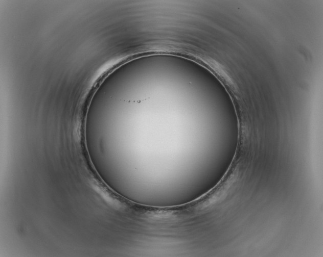 X0000114140846200910221523