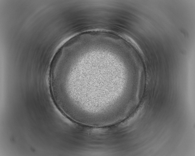 X0000114140847200910221523