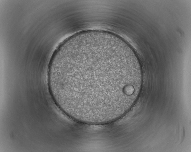 X0000114140848200910221523