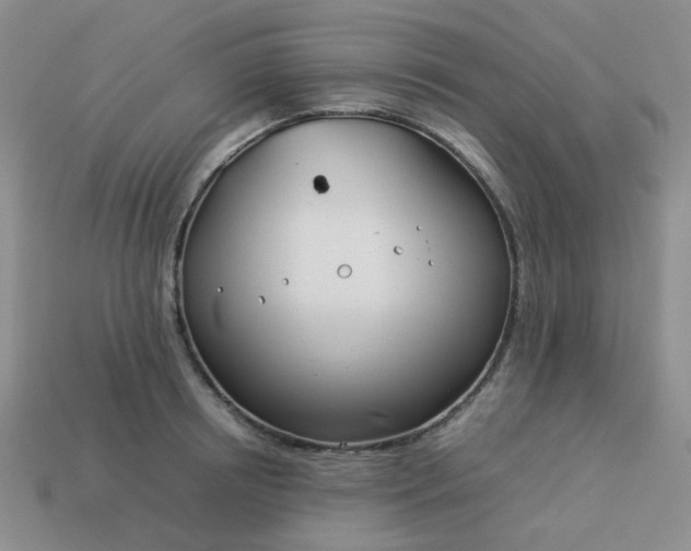 X0000114140850200910221523