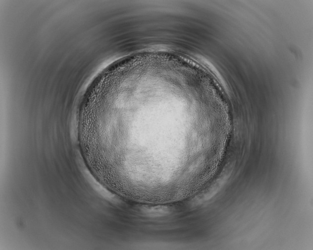 X0000114140851200910221523